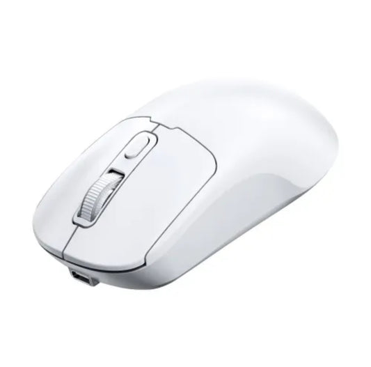 Bluetooth Wireless Mouse
